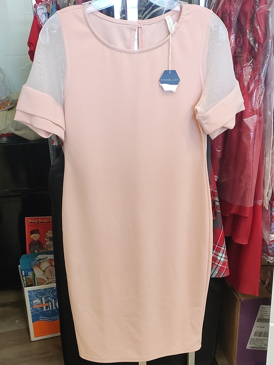 Pinkblush Dresses & Skirts - Pinkblush Blush Pink Maternity Short Sleeve Midi Shift Dress, NWT
